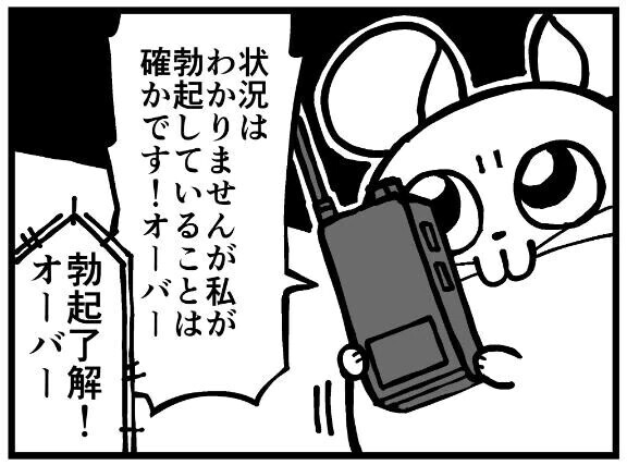 ✨️今月出る日✨️