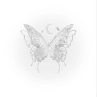 出勤🦋