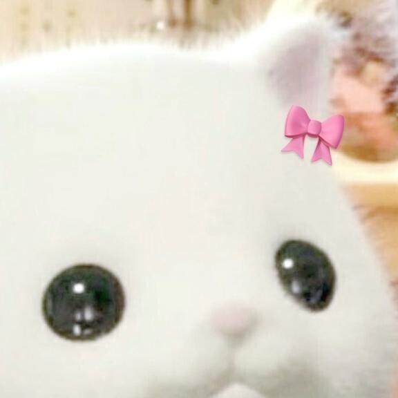 あした🦖💞