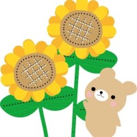 のあ