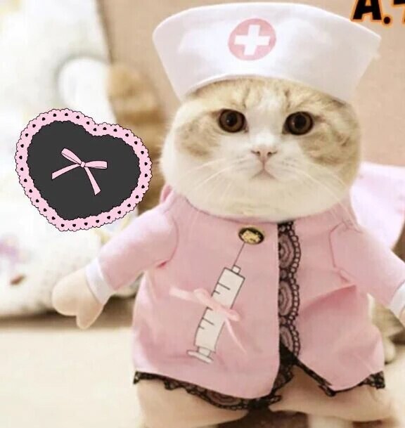 時間変更🙇‍♀️