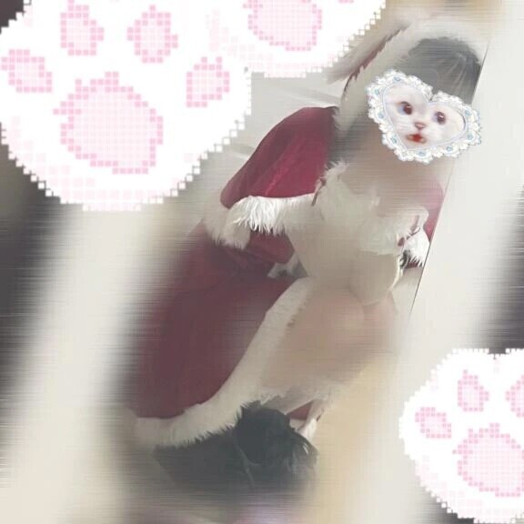 クリスマスイベント🎄^.  ̫ .^