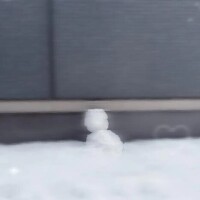 イベントだよ🍫💝