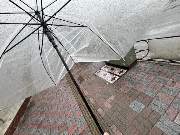 「好きにして」