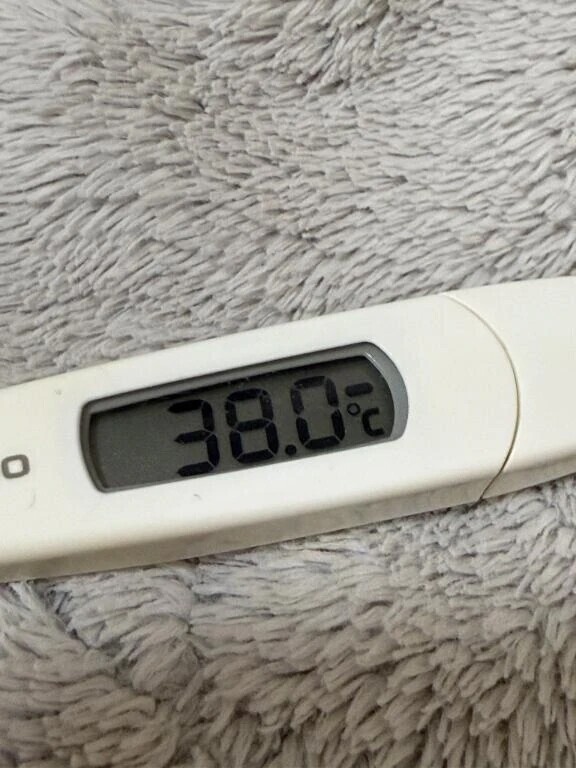 🙇‍♀️🙇‍♀️🙇‍♀️