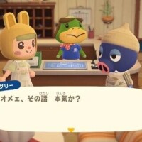 噛んでも良い？
