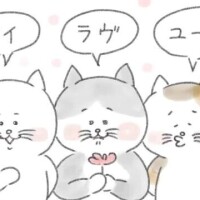 のあ