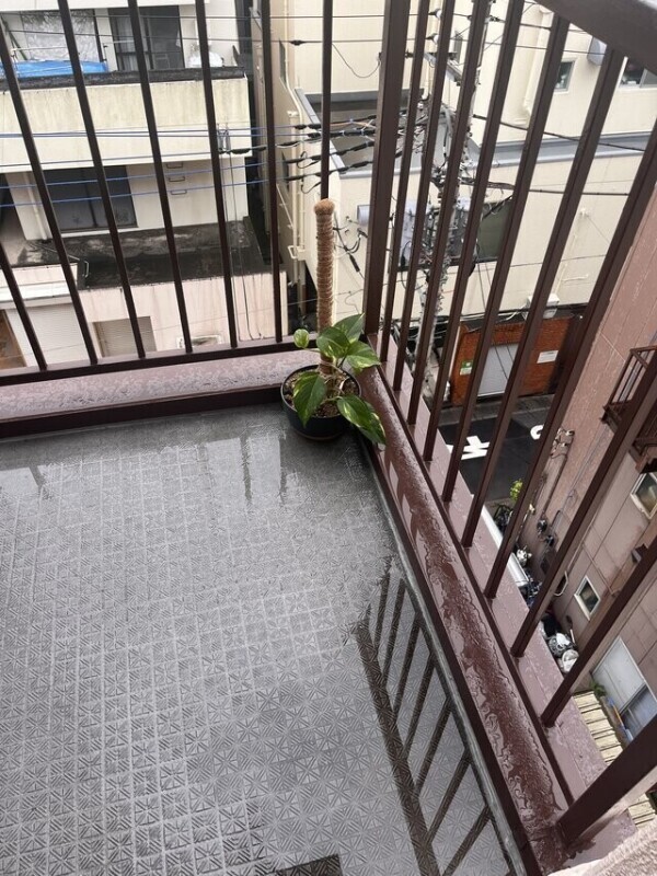 植物載せたら、おばちゃんっぽい🤣