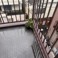 植物載せたら、おばちゃんっぽい🤣
