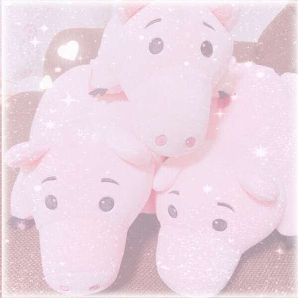 ありがとう🐖⸒⸒⸒⸒