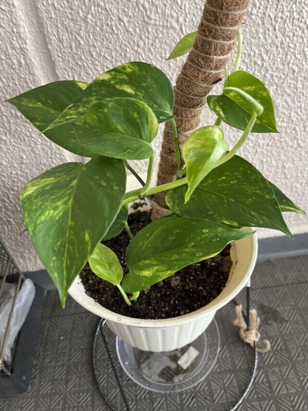 出勤してきたぁ！！