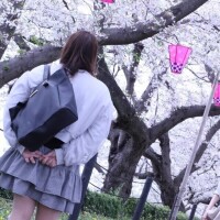 のどか