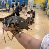 明日朝9時から出勤します。