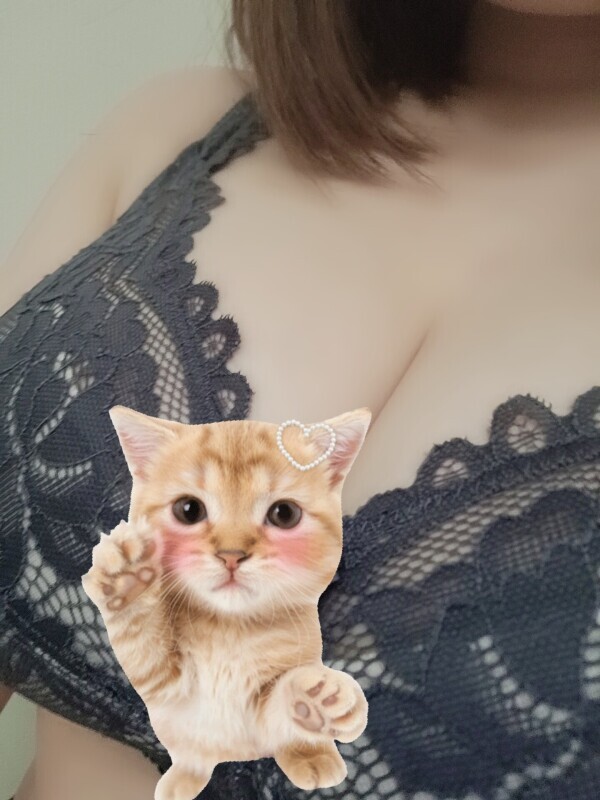 出勤(ฅ^ω^ฅ)ﾜｸﾜｸ
