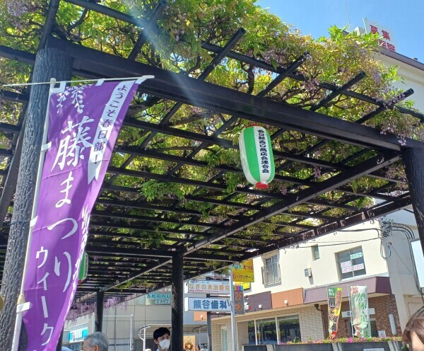出勤しました‼️