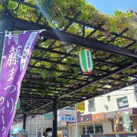 ふうか