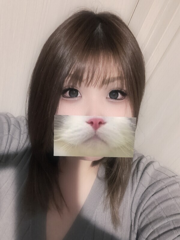 にゃー🐈