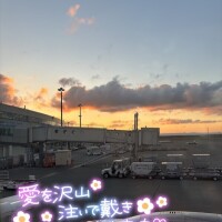 あやめ
