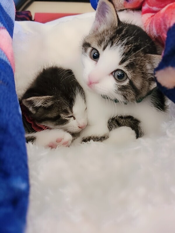 久々✨️