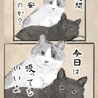 今日は・・・