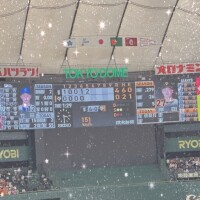 野球観戦日記⚾️