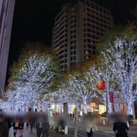 お出かけしたよ～&amp;出勤日のおしらせ