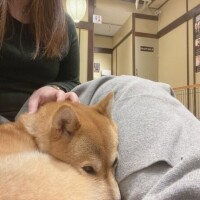 ぎゅ〜って՞ o̴̶̷̤  ̫ o̴̶̷̤ ՞❤️