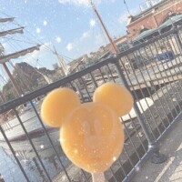 年内の出勤予定⸜🌷︎⸝‍