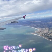 いつもありがと🧸またね✈️