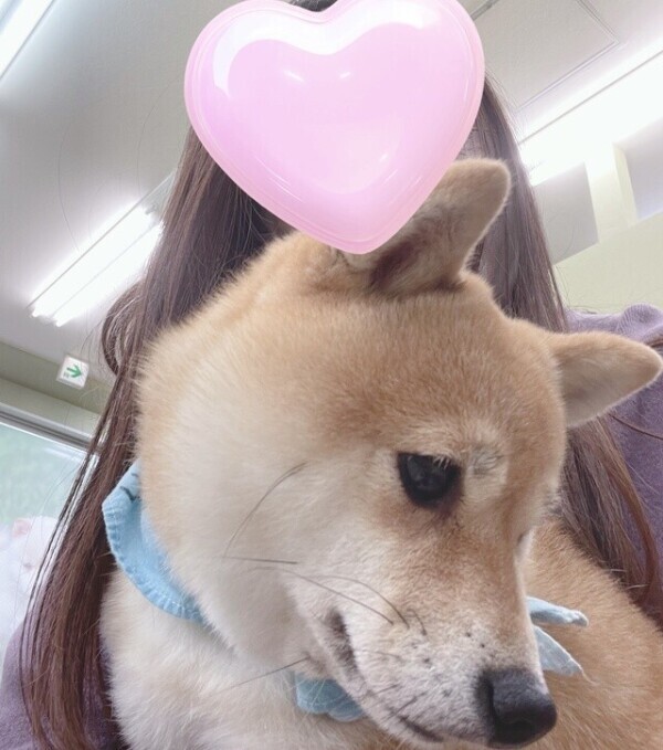 かわいすぎる〜〜〜っ☺️💓