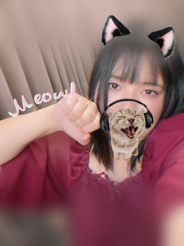 meow🐈‍⬛