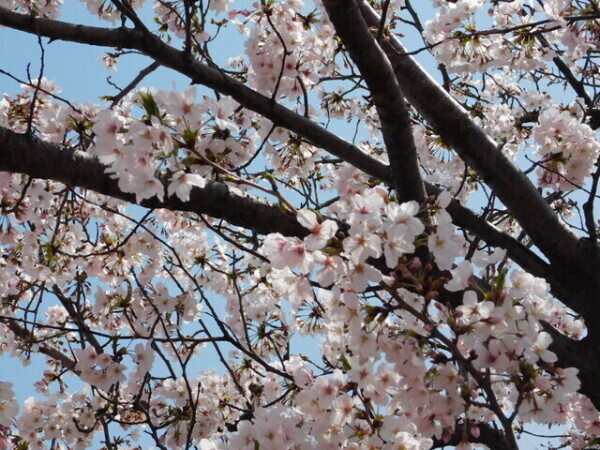 ご無沙汰してます！！！