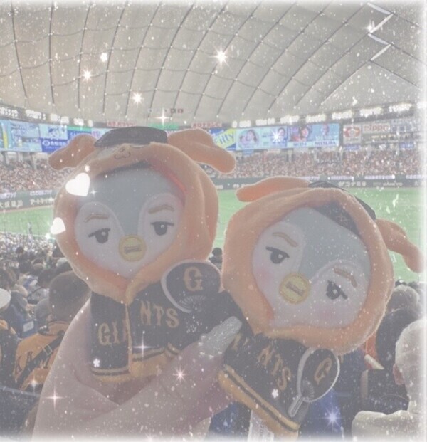 次回出勤と来週の予定🌷