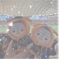 次回出勤と来週の予定🌷