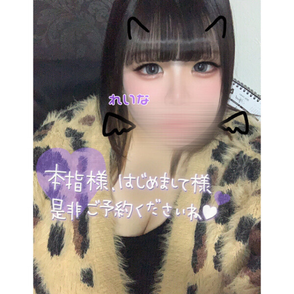 います😸