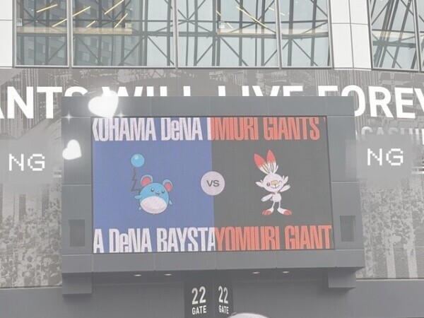 野球観戦日記⚾️