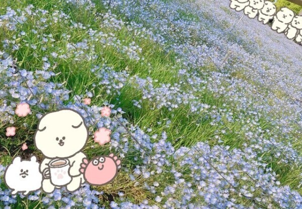 心の栄養🐣🐣