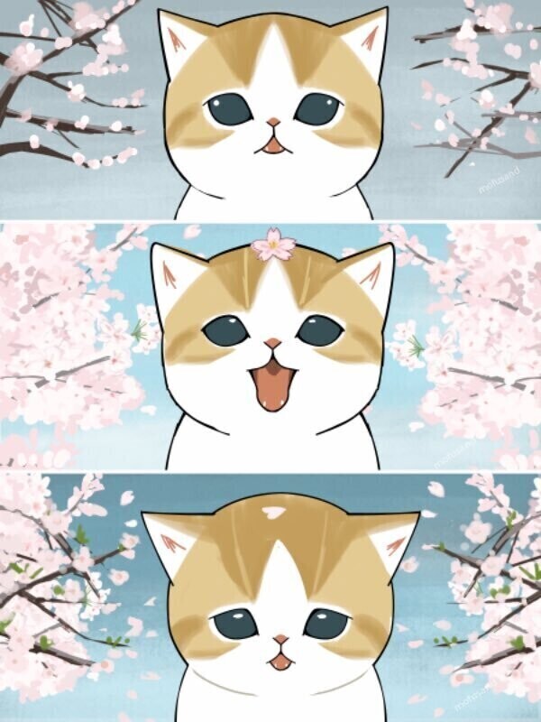 ラスト😹