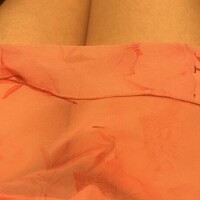 夜の部遊びに来て欲しいな