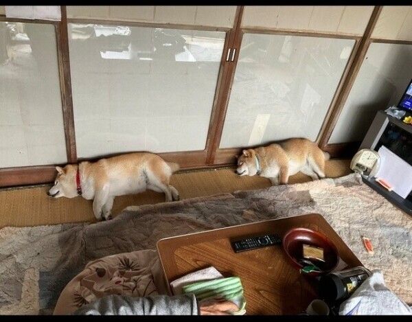 💕ご予約ありがとうございます💕