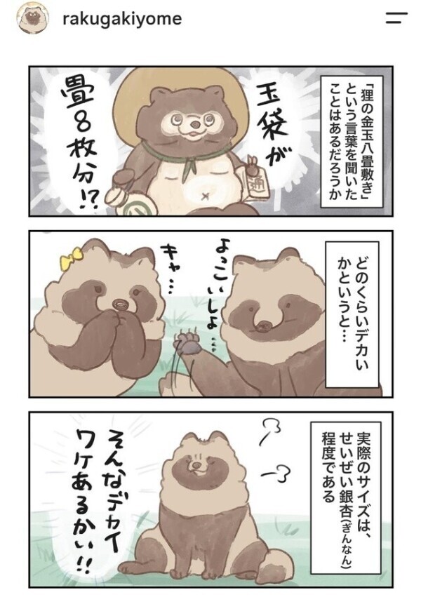 💕…タヌキの金玉八畳敷き…💕