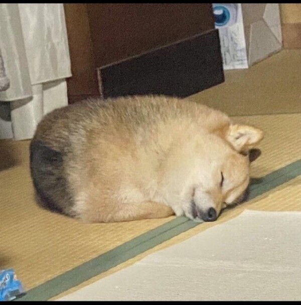 💕最近勉強になったこと❤️久しぶりの！