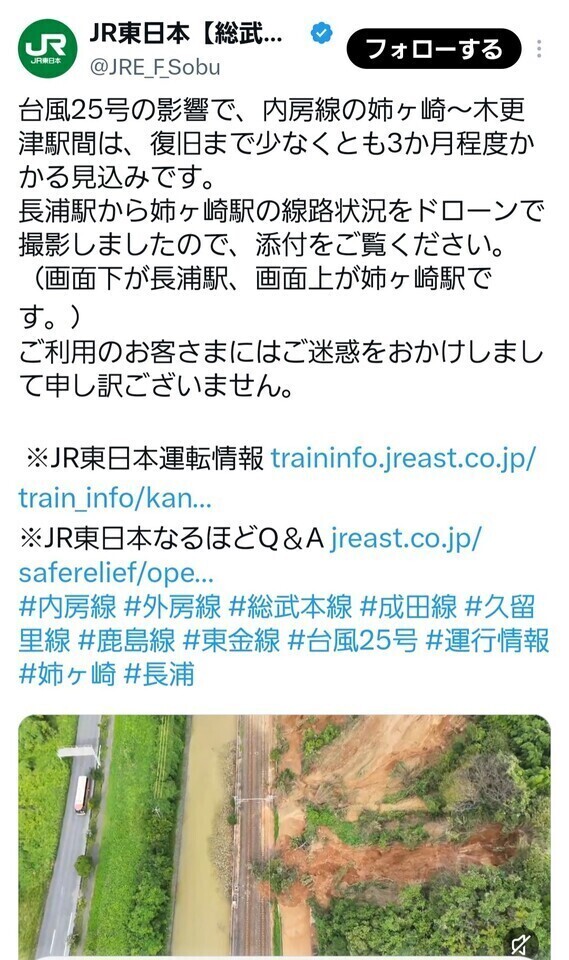 元気がないなら飛んでいくから