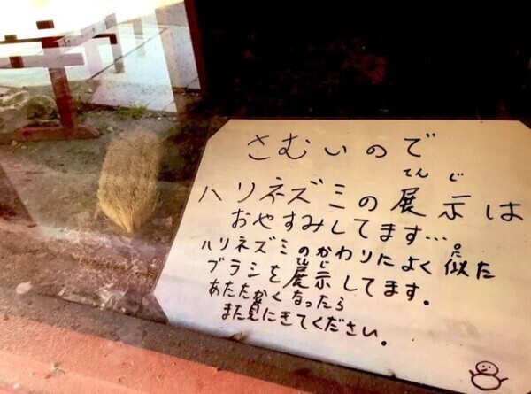 さむーい！