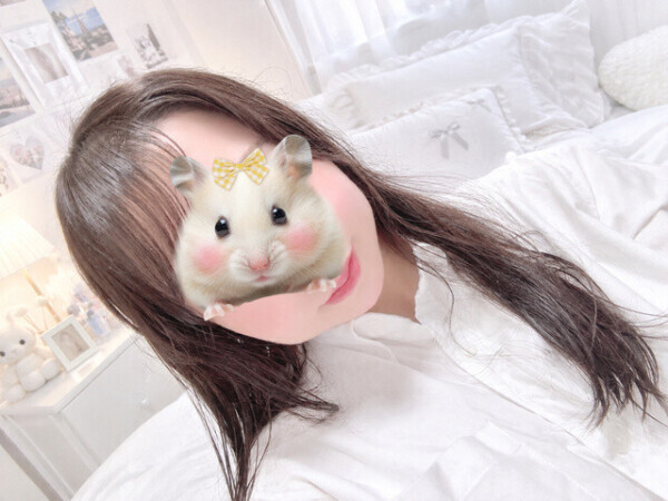 ほんとはイケナイんだけど…💕🐬🌊