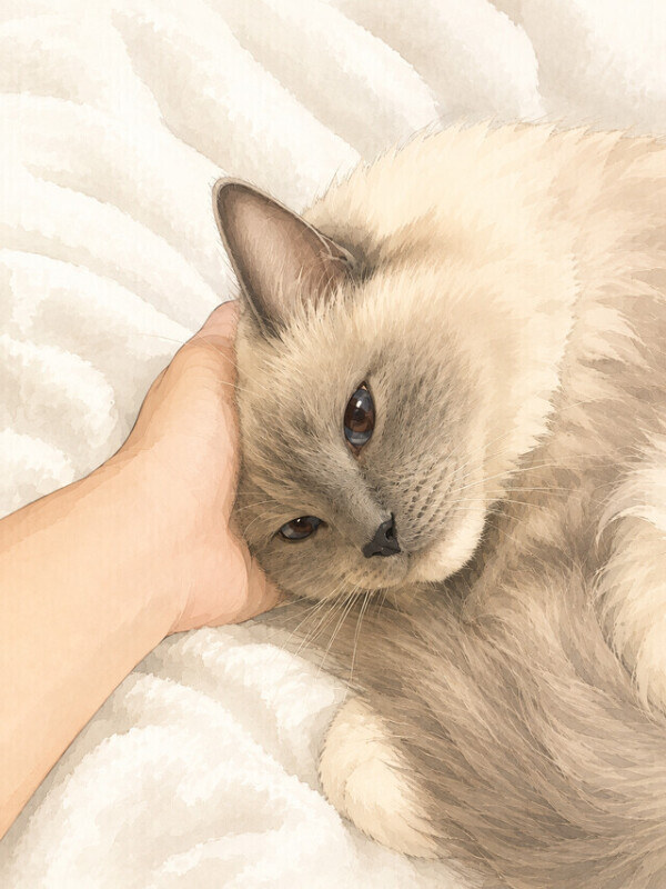 急でごめんなさい！！