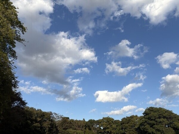 公園きもちいいいいい🩷🩷🩷🩷🩷