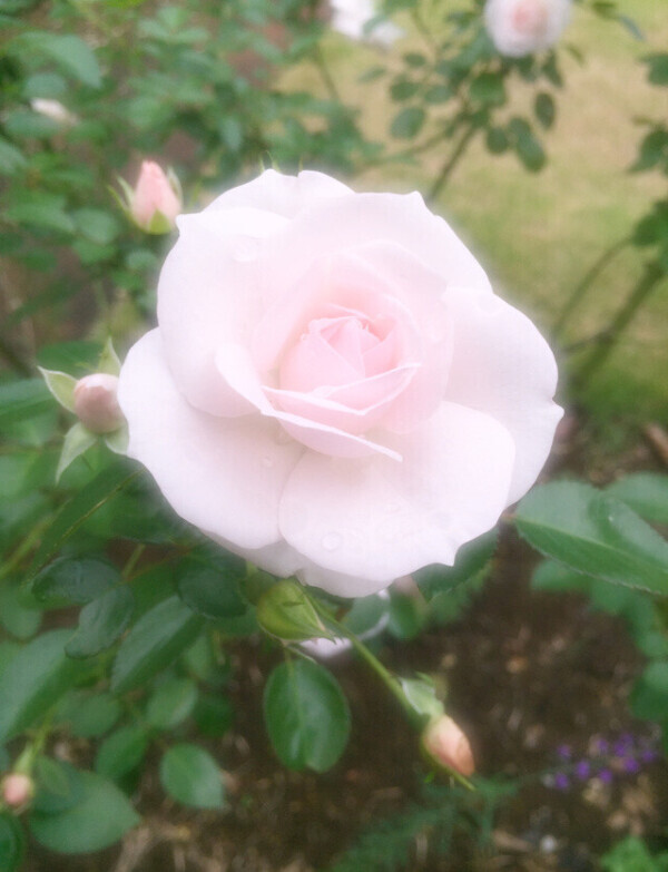 ありがとうございます😌✨