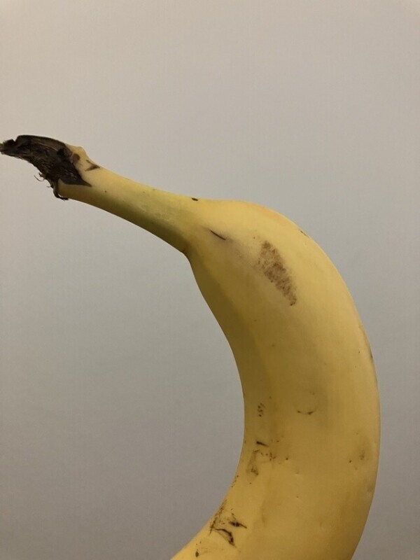 ぱくっ