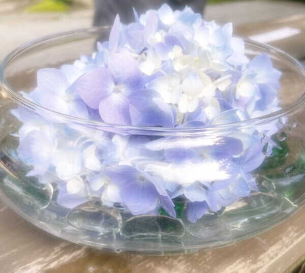 ありがとうございます😊✨